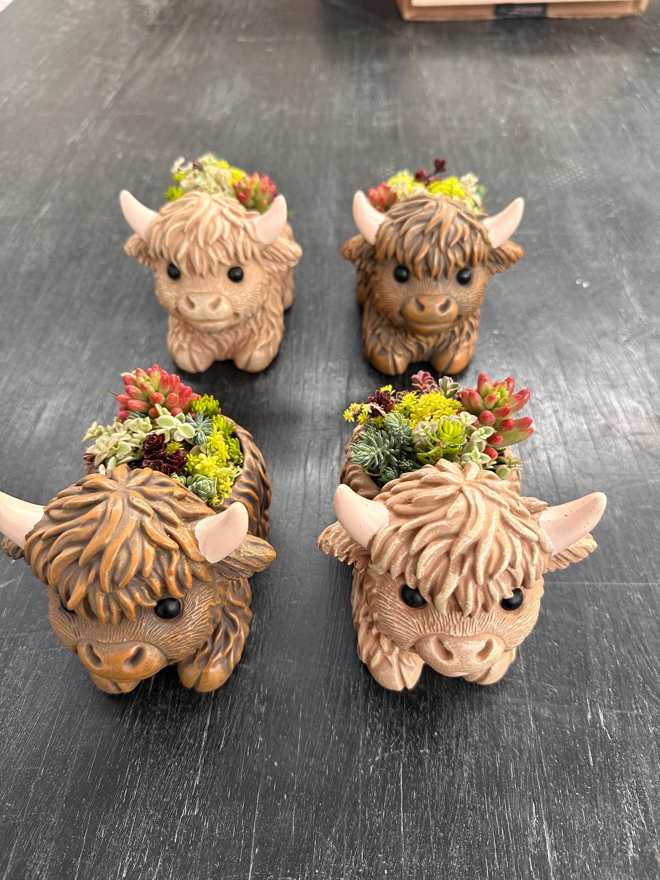 Mini Highland Cow Succulent Arrangement – Cute Succulent Planter, Farmhouse Decor, Unique Gift, Succulent Cow, Handcrafted Planter for Home