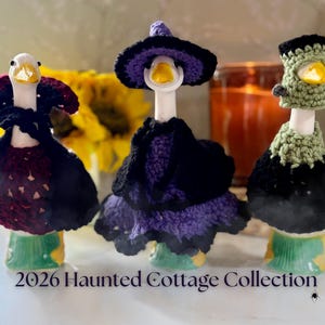Pu&ograve; includere: Tre statuette di oche in ceramica bianca con abiti all'uncinetto: un vampiro con mantello bordeaux e nero, una strega con vestito e cappello viola, e un mostro con copricapo verde e colletto nero. Testo: 2026 Haunted Cottage Collection.