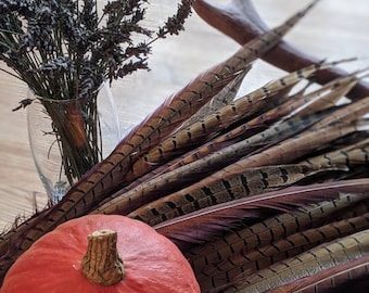 Single Pheasant Feathers Extra Long 45 cm+ Crafting supply