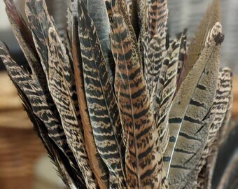 Medium Pheasant Tail Feathers (30pcs) - Natural Feather Craft Supplies