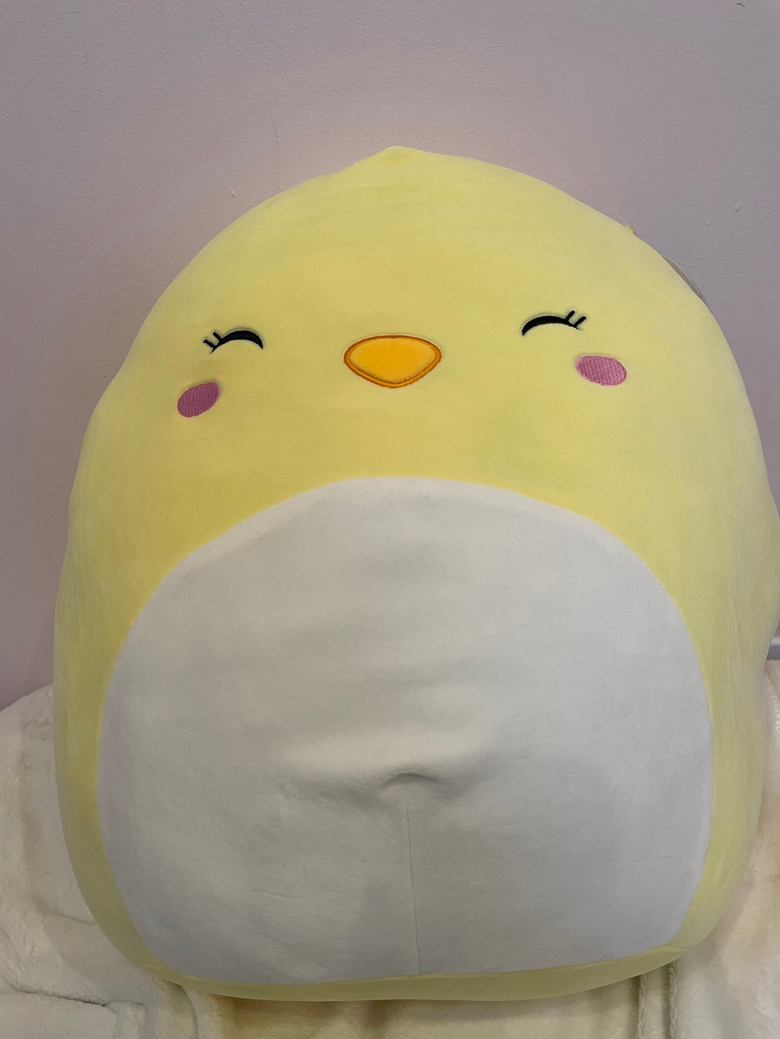 Chuck the chick squishmallow | Etsy