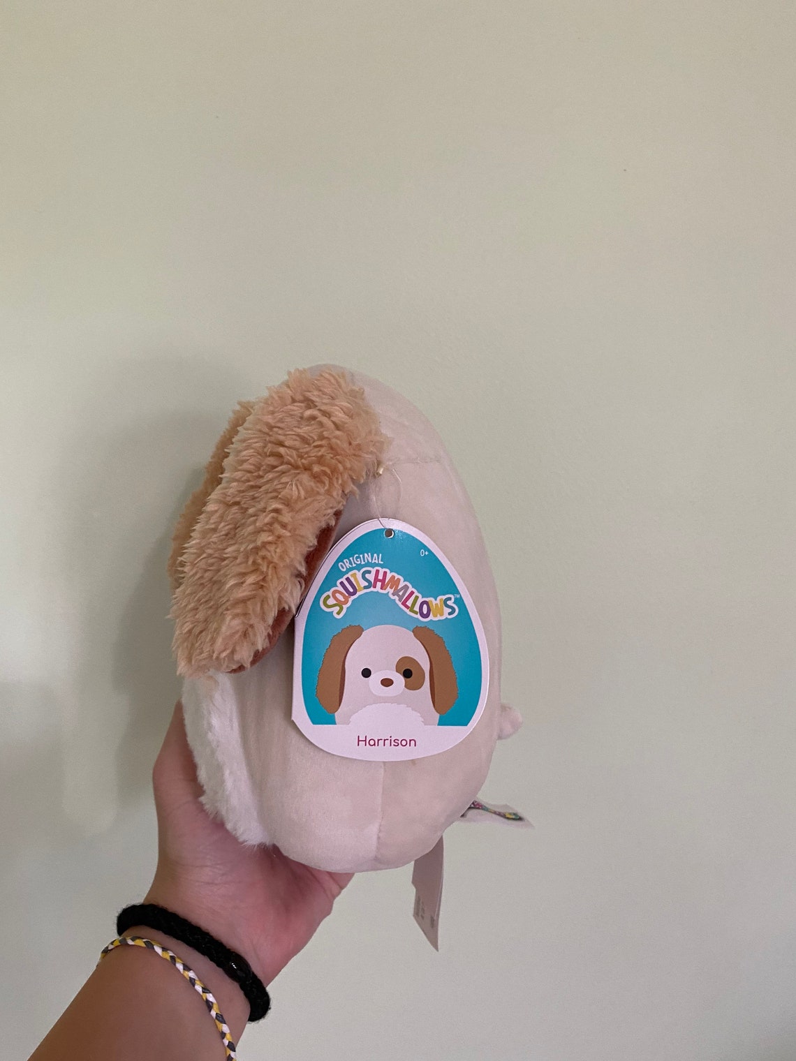 Squishmallows Harrison the dog/ Squishmallows/ Squishmallow | Etsy