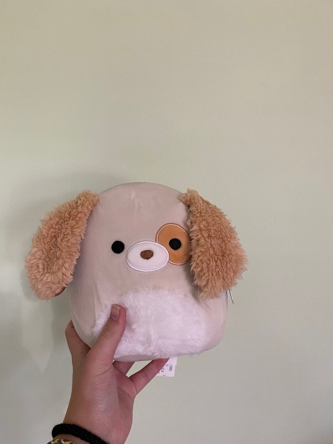 Squishmallows Harrison the dog/ Squishmallows/ Squishmallow | Etsy