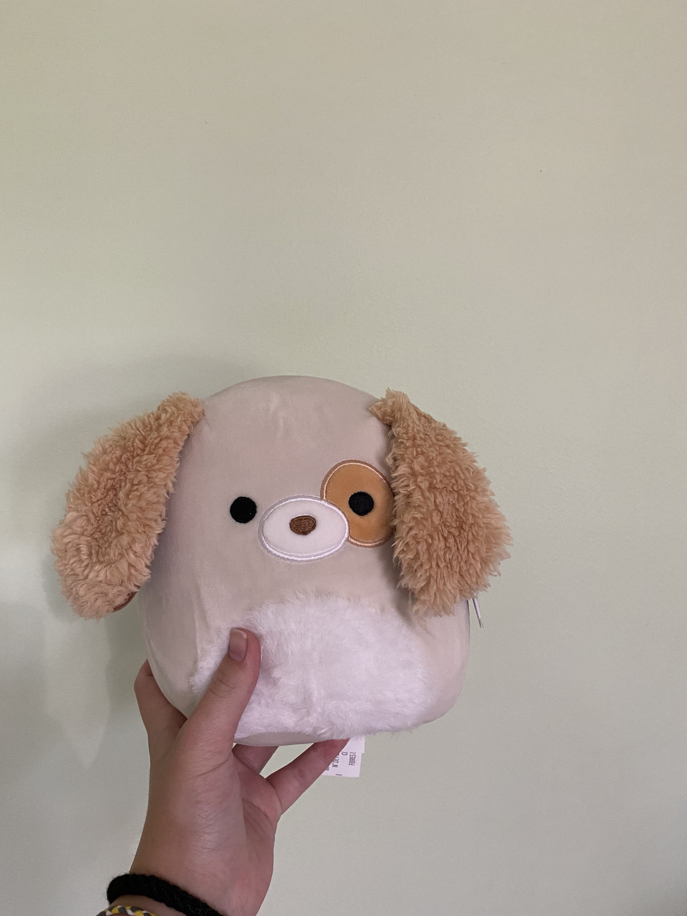 dog squishmallow names
