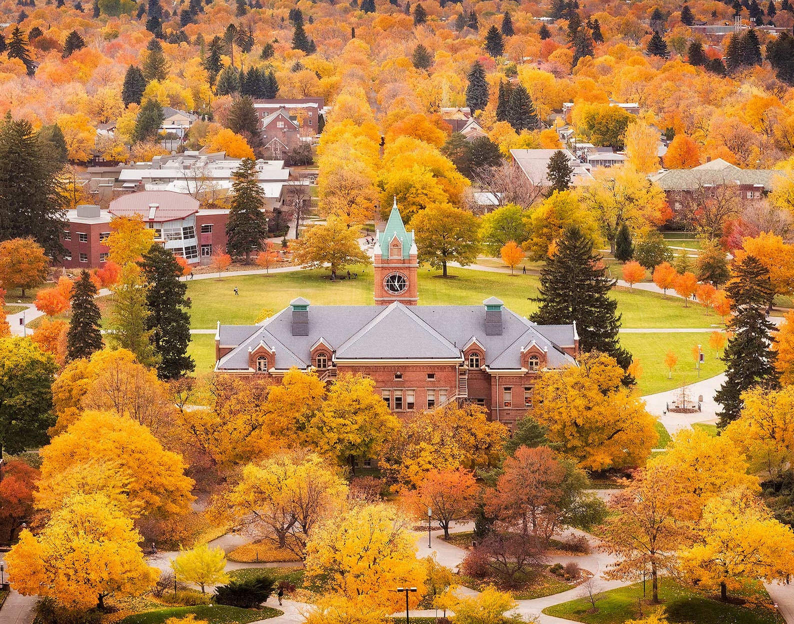 University Of Montana Calendar Missy TEirtza
