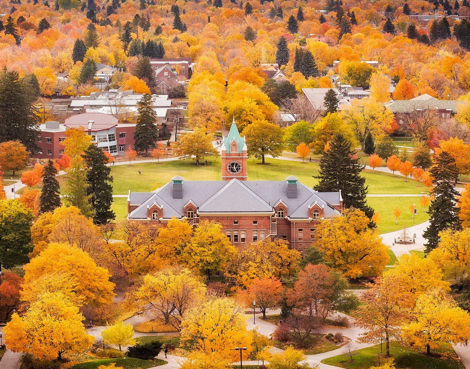 creative writing university of montana