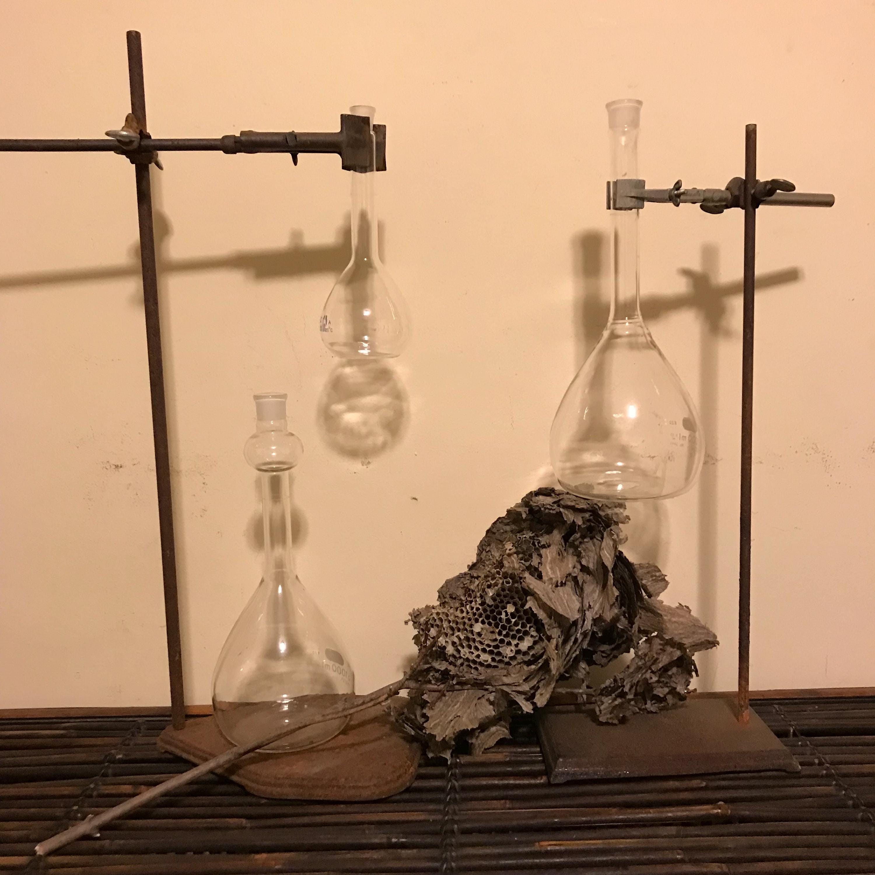 Antique Science Lab Stand Lab Beaker Lab Vase Glass Industrial Iron ...