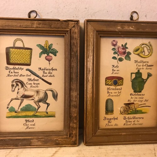 Antique Garden Prints German French Teaching Aid Color Floral Botanical Framed Farmhouse Watering shops can