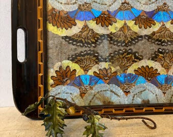 Antique Italian  Butterfly Tray Inlaid Marquetry Tray Butterfly Specimen Moth Insect  Curiosity Taxidermy