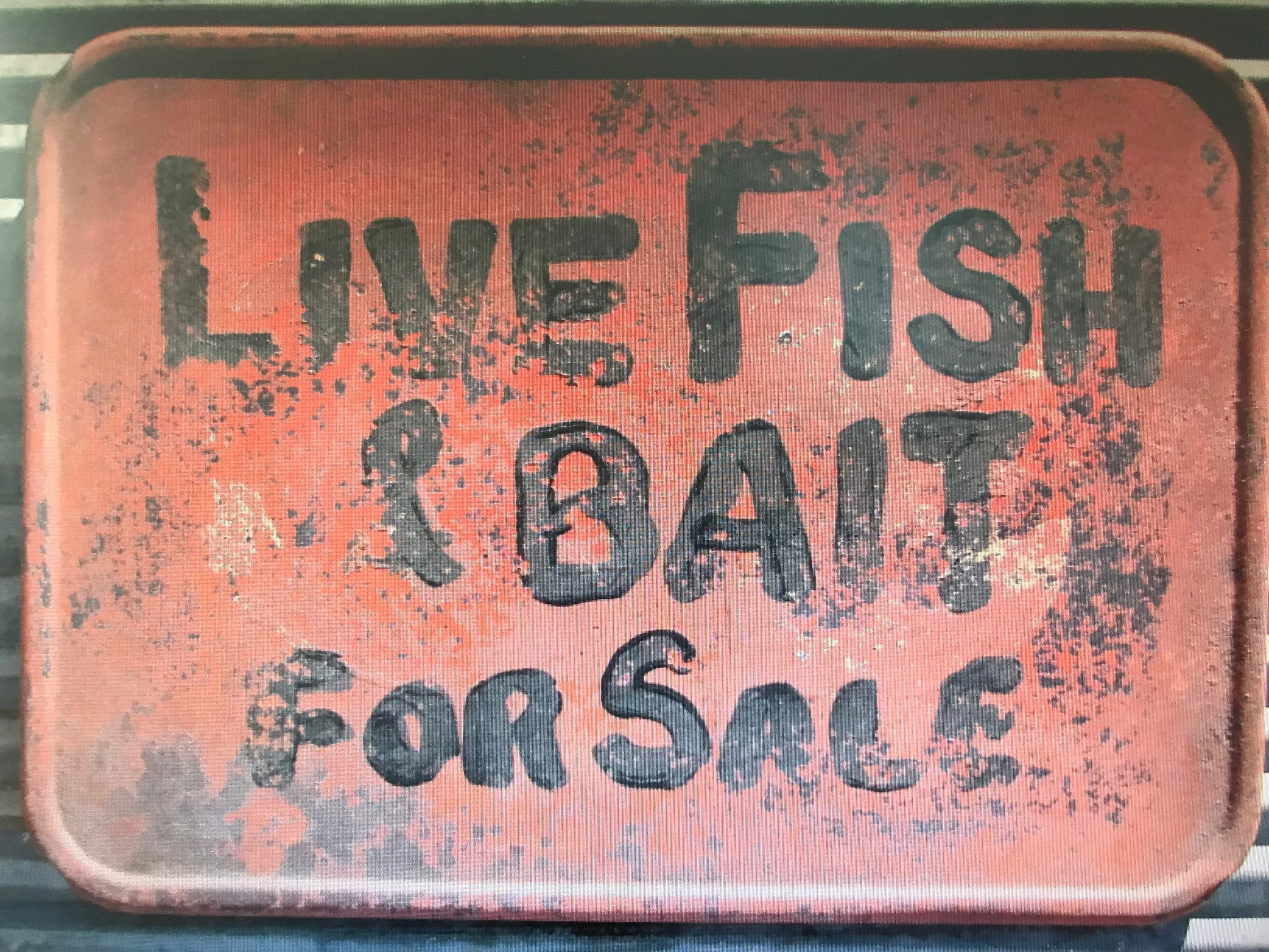 Antique Fishing Sign Camp Steel Sign Primitive Sign Industrial for Sale Bait  Nautical -  Canada