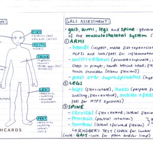 Rheumatology 1 Flashcards (PDF)