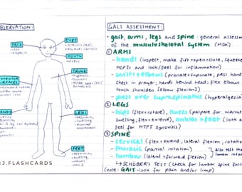 Rheumatology 1 Flashcards (PDF)