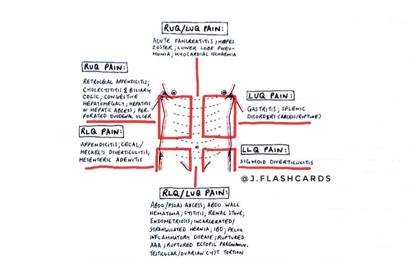 Gallbladder & Pancreatitis Flashcards (PDF)