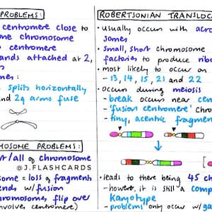Genetics 2 Flashcards (PDF)