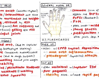 Rheumatology 2 Flashcards (PDF)