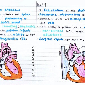 Paediatrics 1 Flashcards (PDF)