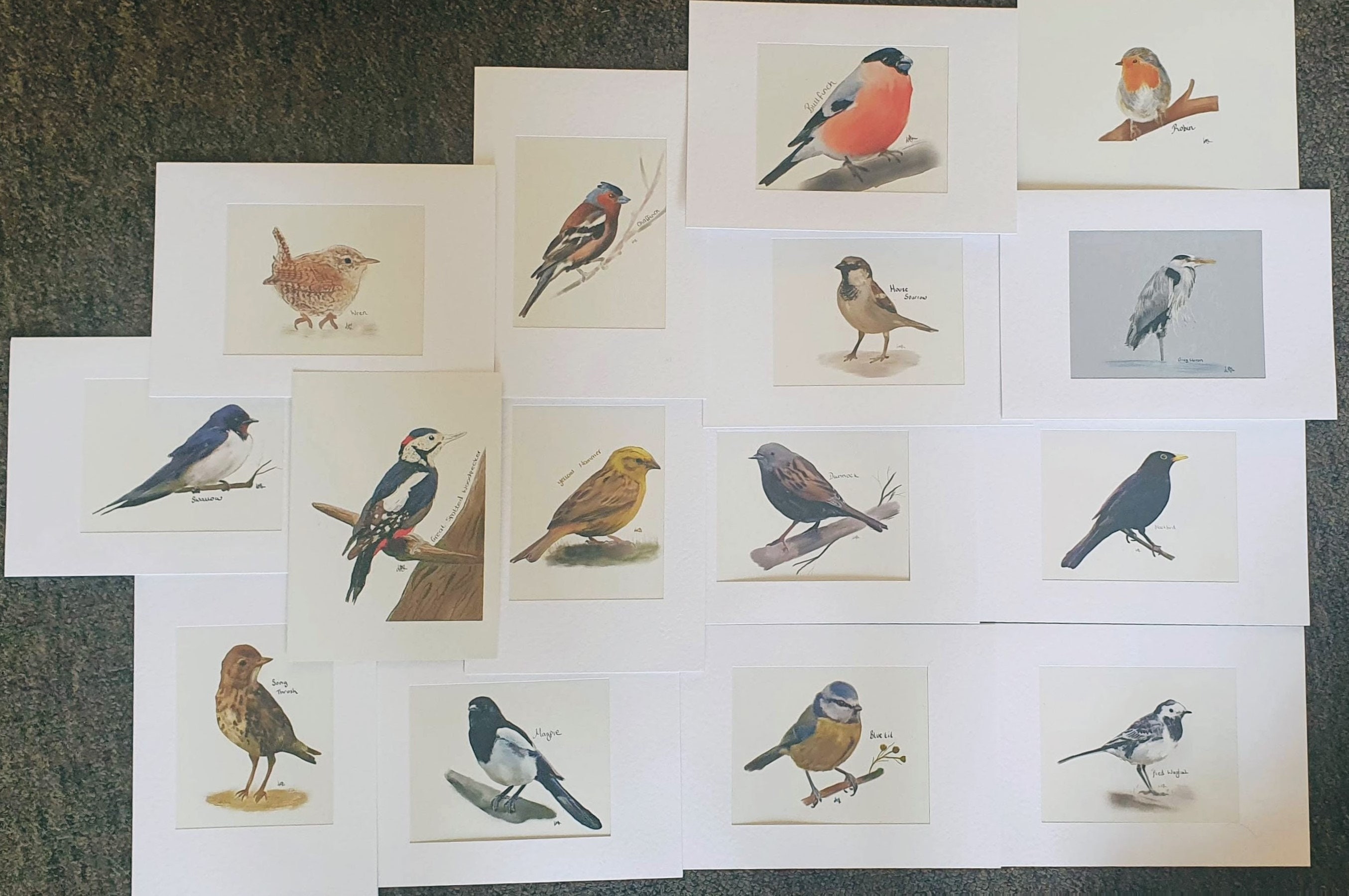 Blauer Kunstdruck Karte Sperre Vogel Sammlung 20 | Etsy