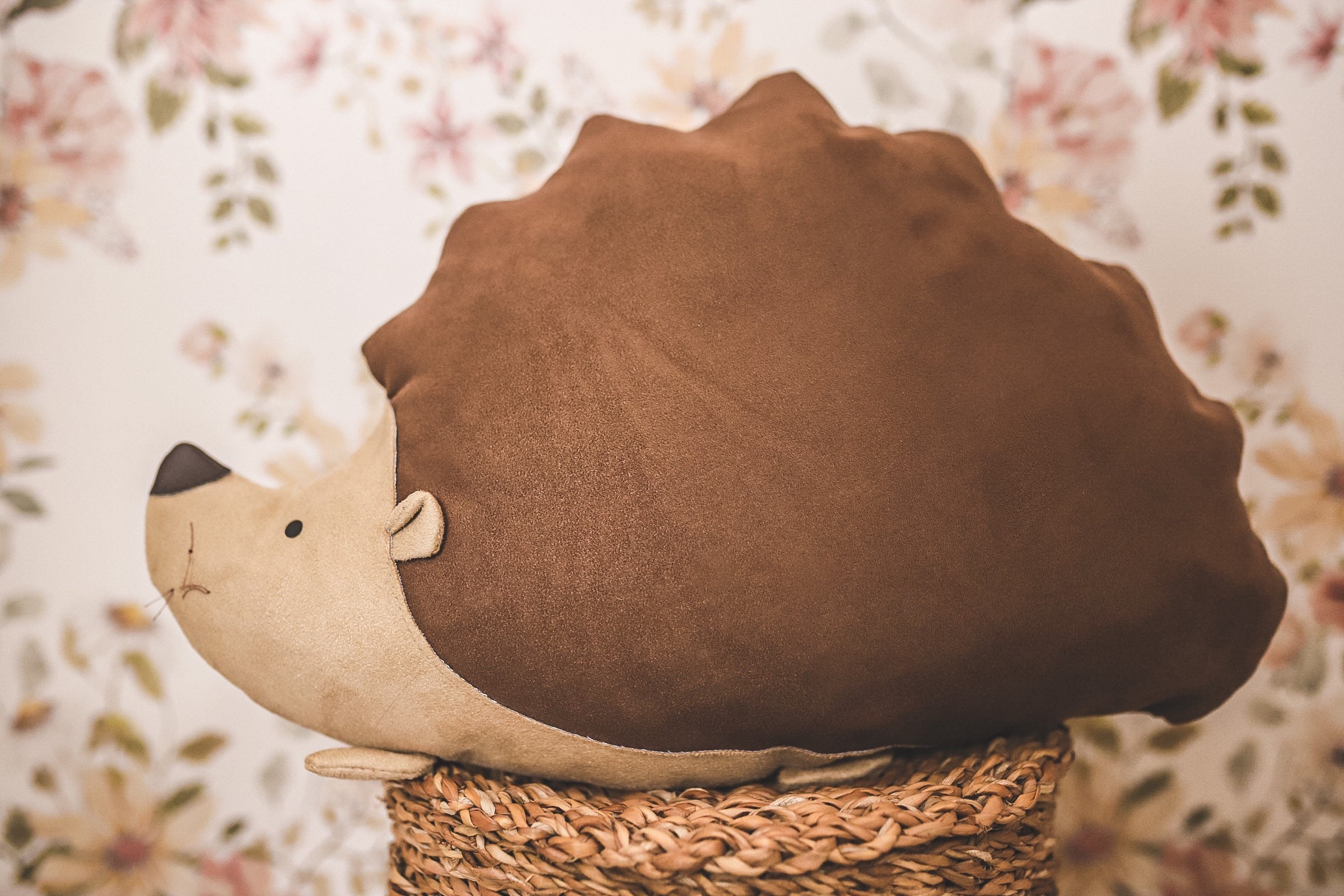 Igel Kissen für Kinderzimmer / Babyzimmer / Kinder Deko Kissen Etsy