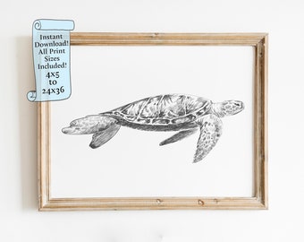 Sea Turtle Printable wall art - Turtle Illustration animal wall art for bedroom - Downloadable print