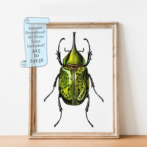 Green Beetle Watercolor Art Print, Insect Wall Art, Entomology Digital Download, Bug Illustration for Science or Nature Decor