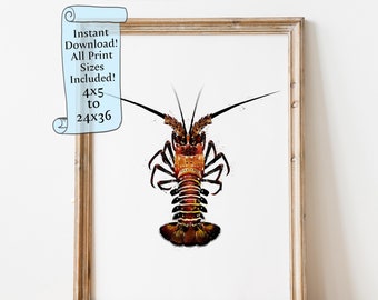 Spiny Lobster Printable wall art - Lobster illustration - Nautical Wall Decor - Instant Download - Lobster Drawing