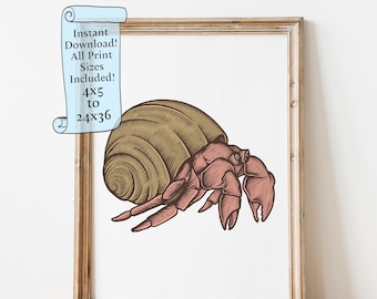 Hermit Crab Printable wall art - Hermit Crab Poster - Hermit Crab Decor - Downloadable print - Instant Download