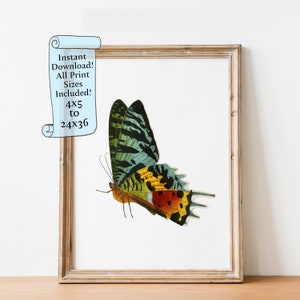 Moth Printable wall art - Butterfly painting, Animal Wall Art  - Downloadable print