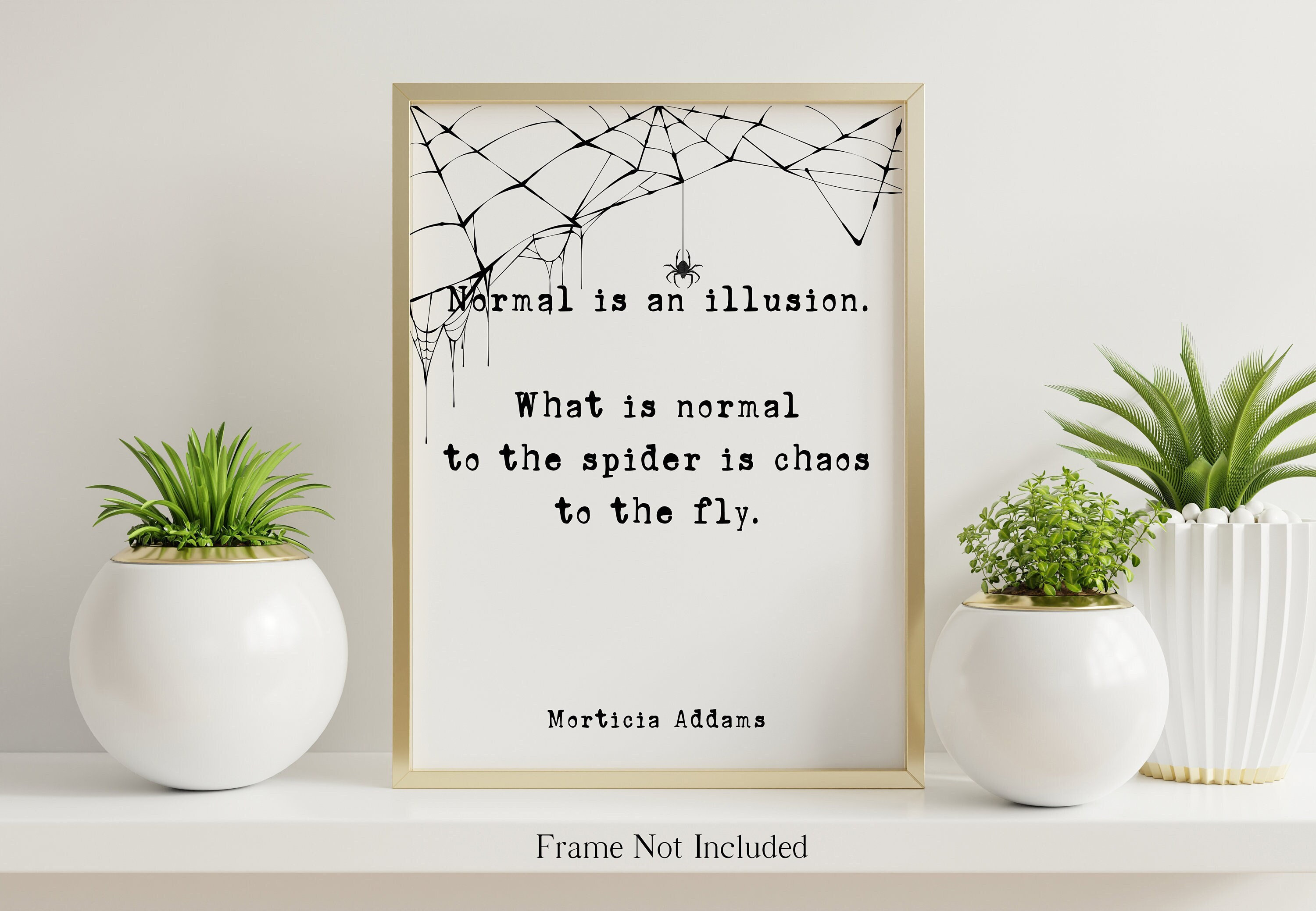 The Addams Family Decor "What is normal to the spider is chaos to the fly.” Morticia Addams - Normal is an illusion