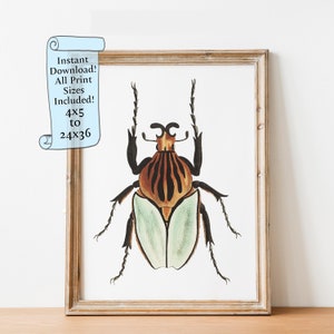 Watercolor Beetle Printable wall art - Green Insect painting, Animal Wall Art - Downloadable print - Entomology print