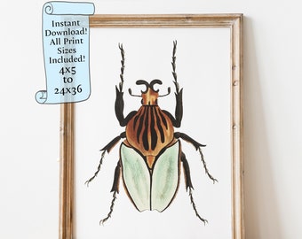 Watercolor Beetle Printable wall art - Green Insect painting, Animal Wall Art - Downloadable print - Entomology print