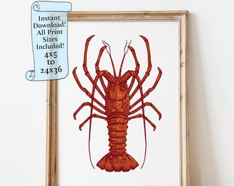 Lobster Printable wall art Lobster illustration animal wall art for Kitchen - Downloadable print