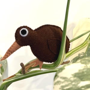 Può includere: Un kiwi fatto a mano in feltro marrone con un lungo becco marrone e occhi bordati di bianco. L'uccello è appollaiato su uno stelo di pianta verde e bianco, mettendo in mostra la sua dettagliata lavorazione artigianale e il design naturale. Un oggetto decorativo affascinante e stravagante.
