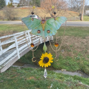 Custom Mystery Butterfly/Moth Suncatcher