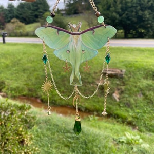 Custom Mystery Luna Moth Suncatcher