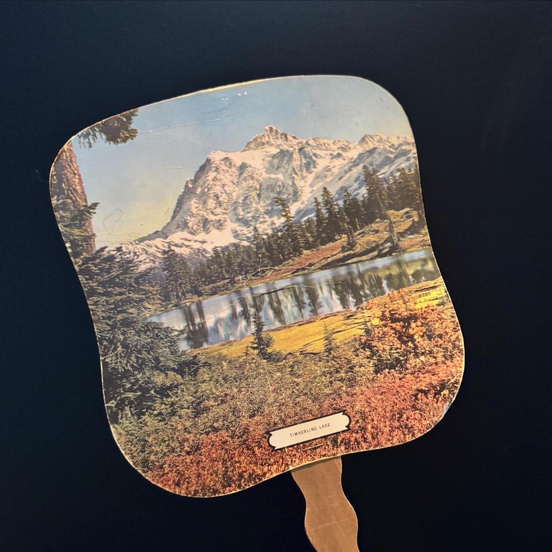 Vintage Handheld Church Fan - Cardboard on Wood Handle - Etsy