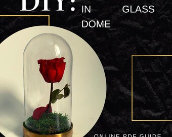 Beauty And The Beast Rose Dome Etsy Beauty And The Beast Rose Dome Etsy