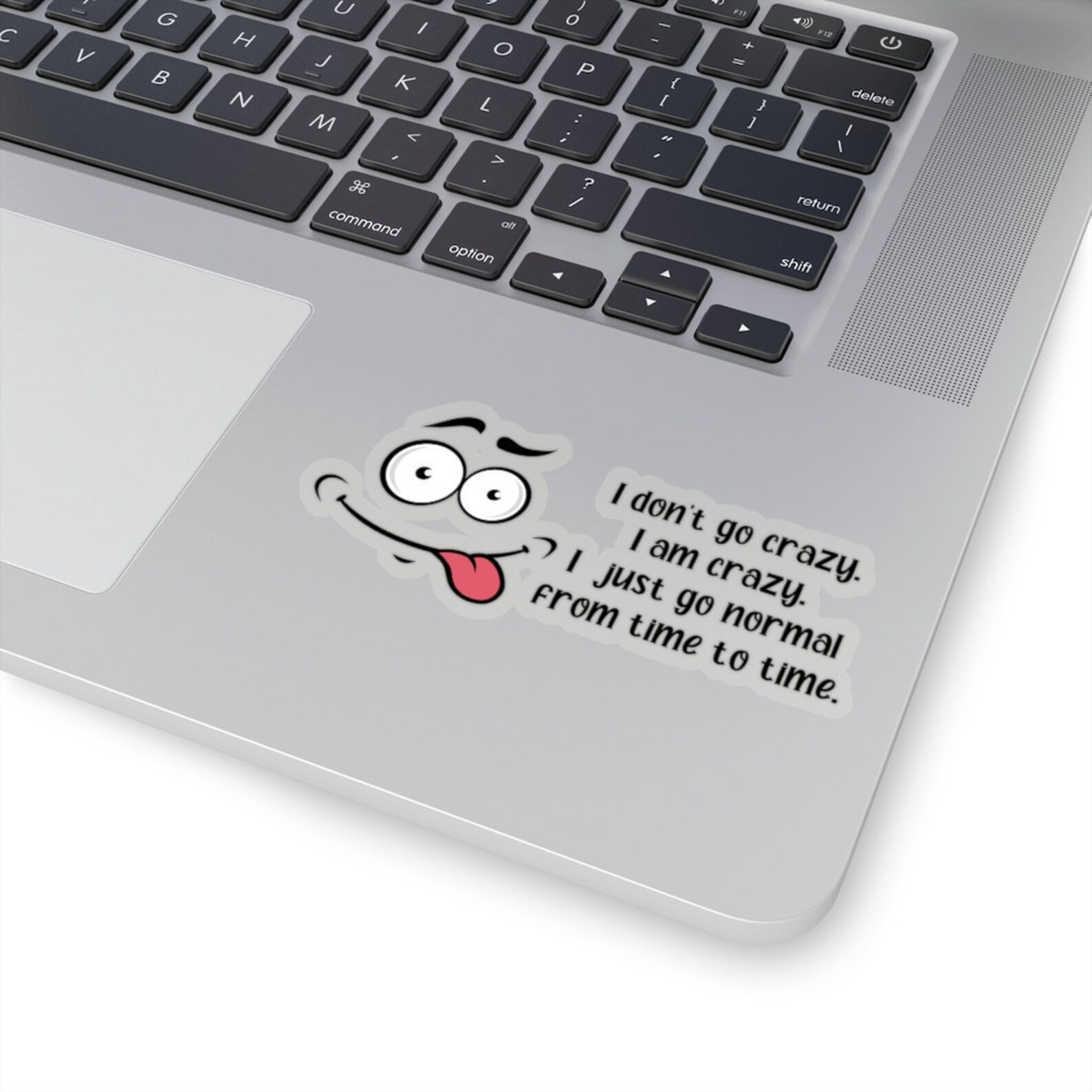 I am crazy sticker Laptop Sticker Sticker Stickers Funny | Etsy