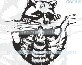 Download Raccoon Svg Etsy