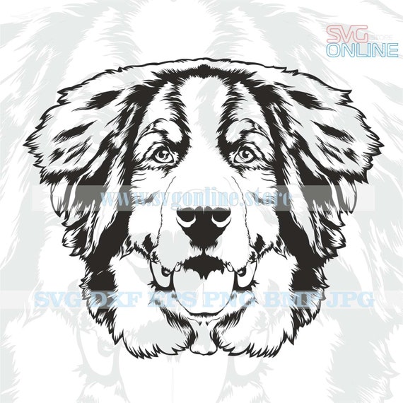 Free Free 287 Bernese Mountain Dog Svg SVG PNG EPS DXF File