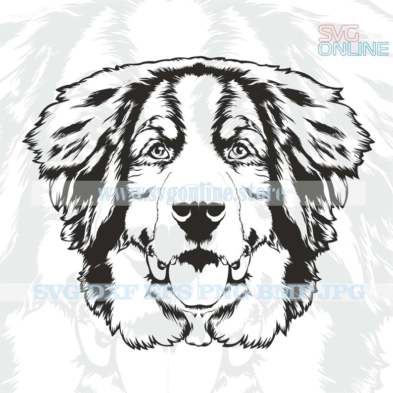 Free Free 202 Mountain Dog Svg SVG PNG EPS DXF File
