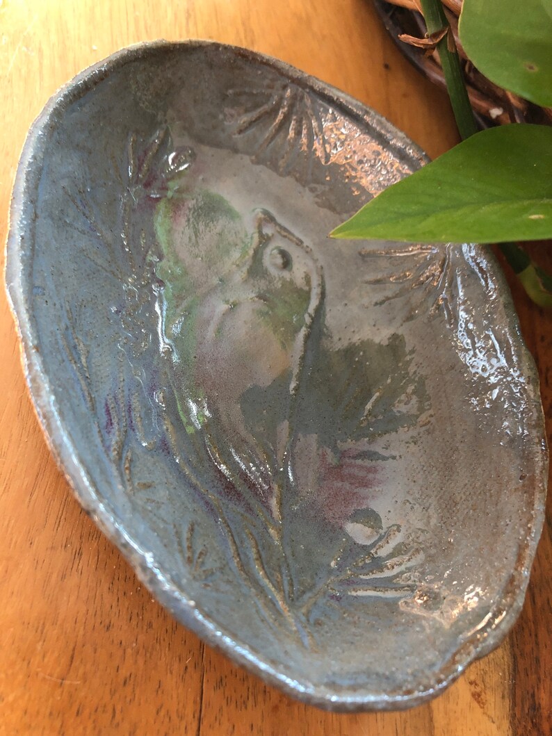 Junco Bird In Mugo Pine, rustic, hand made ceramic soap dish, bl