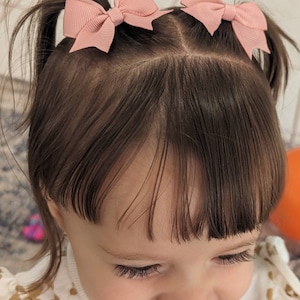 May include: A young girl with brown hair wearing two pink hair bows. Her hair is styled in pigtails with bangs.