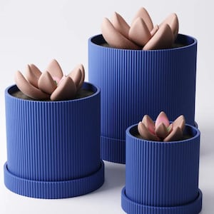 May include: Three blue cylindrical planters with vertical ribbed texture, each holding a faux succulent. The succulents have soft pink petals and are set against a dark soil. The planters are of varying sizes, with a matching saucer base.