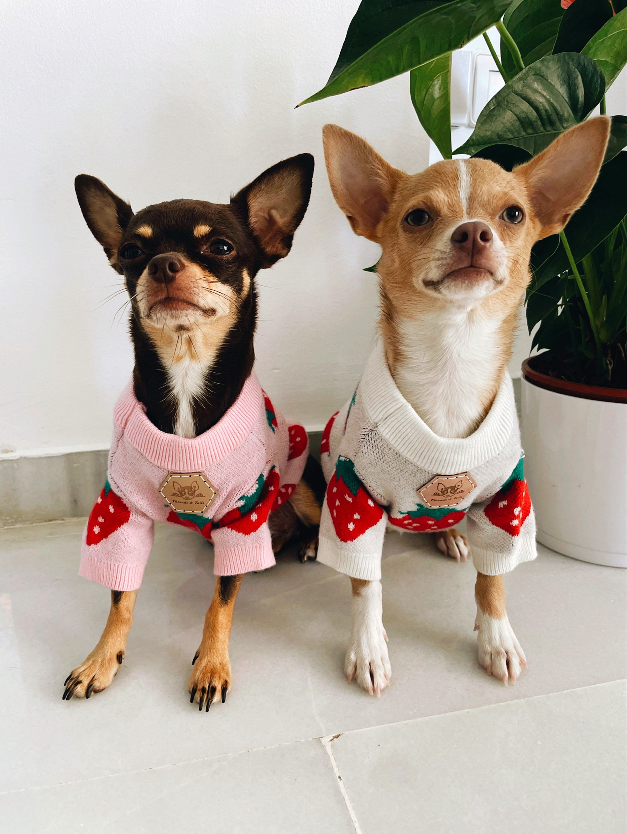 Strawberry Floral Pet Dog Hoodie