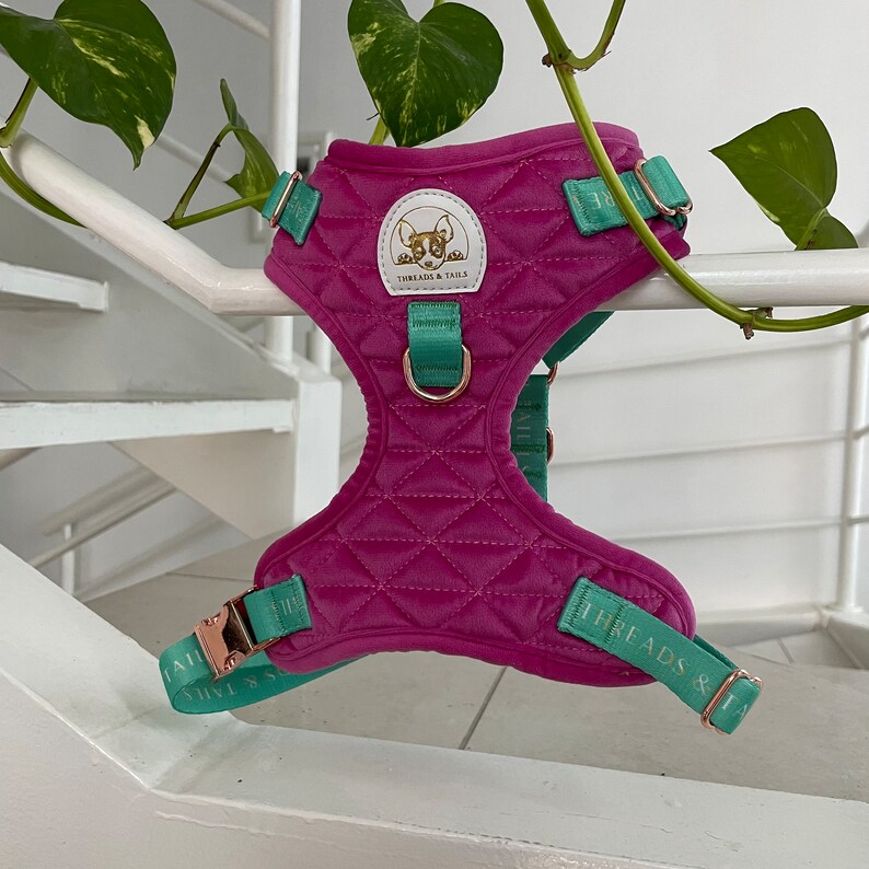 Pink Velvet Harness Collar and Lead Set Etsy