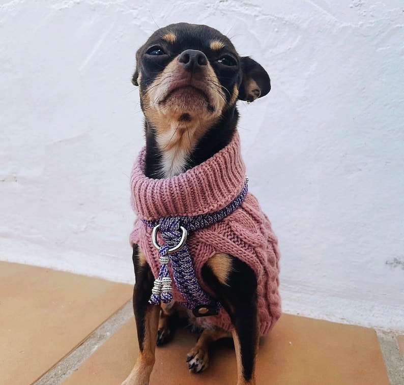 Handmade Fishtail Paracord Dog Harness Etsy