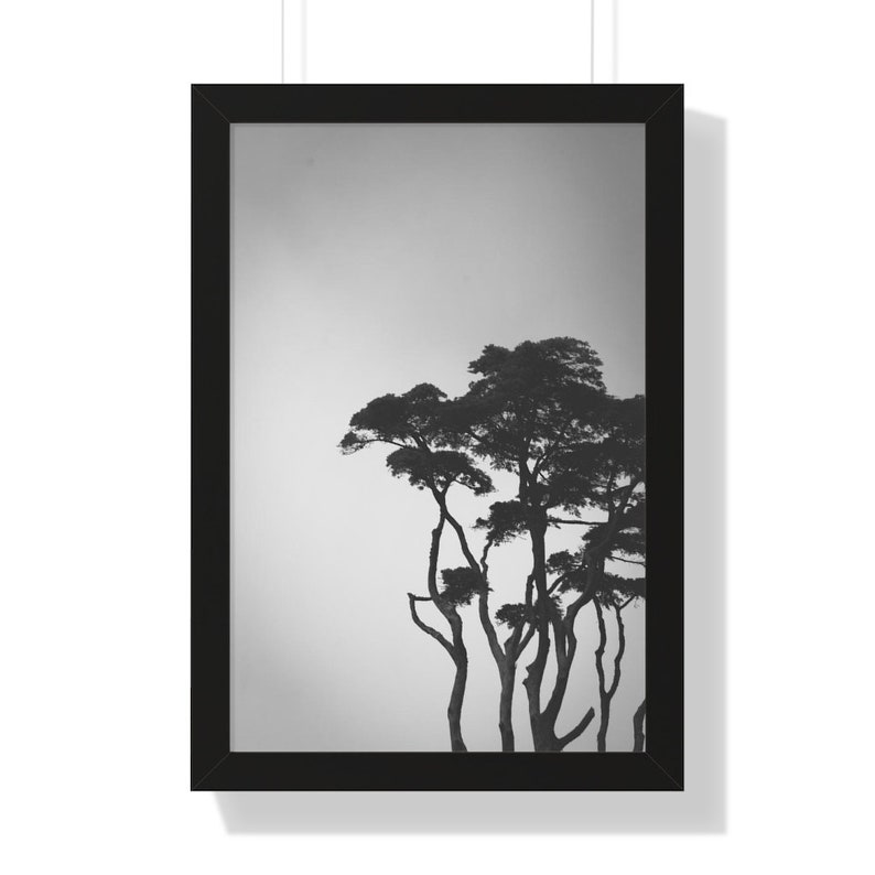 Lonely Tree