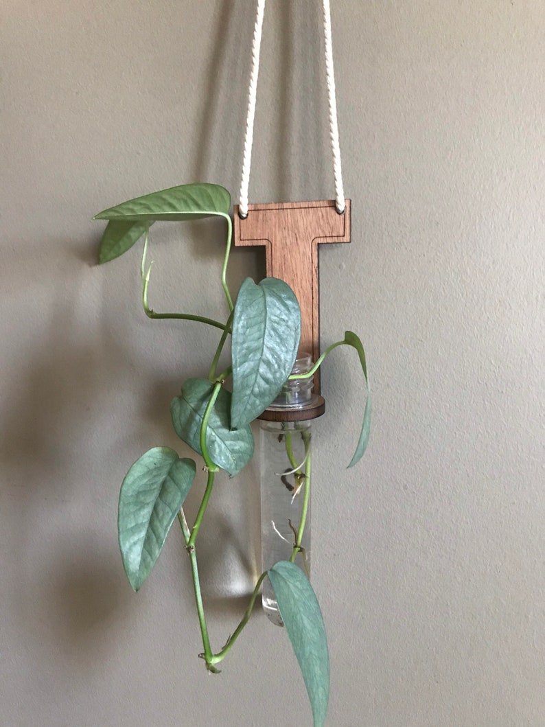 Propagation Station Hanging Letter Propagation Station Diy Etsy