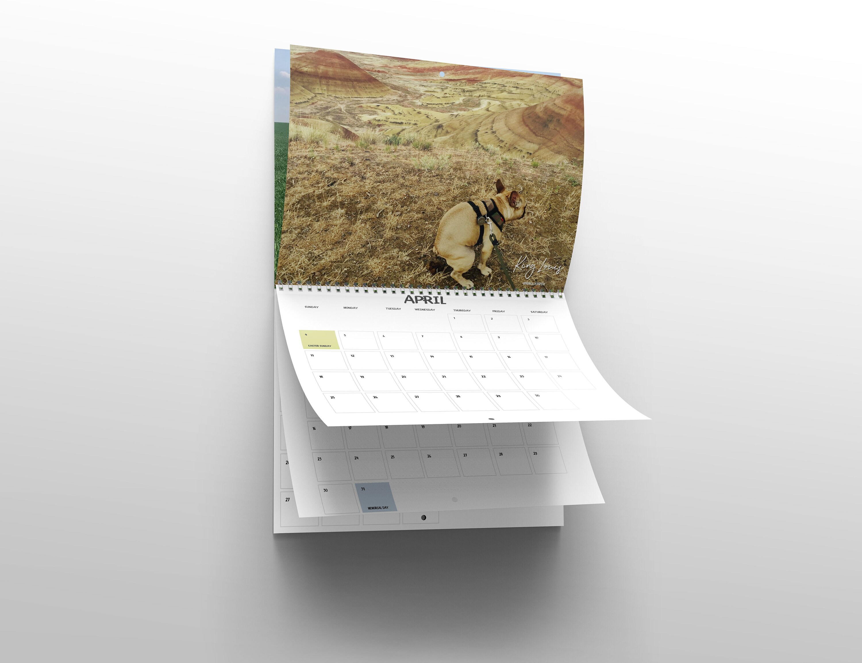 dogs-pooping-in-beautiful-places-2022-calendar-funny-etsy-uk
