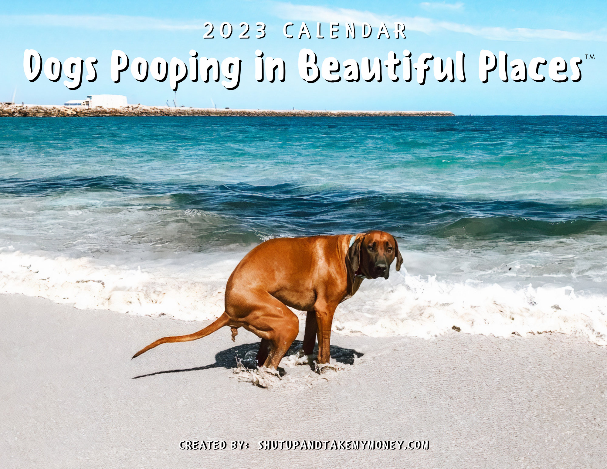 Dogs Pooping in Beautiful Places 2023 Calendar Funny Wall Etsy Australia